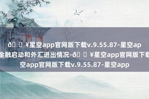 🔥星空app官网版下载v.9.55.87-星空app先容2024年一季度金融启动和外汇进出情况-🔥星空app官网版下载v.9.55.87-星空app