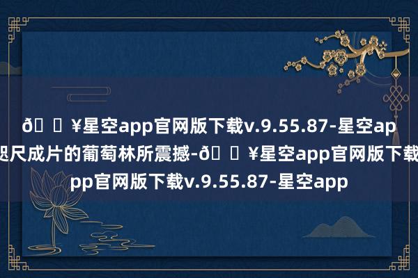 🔥星空app官网版下载v.9.55.87-星空app学习构成员们便被咫尺成片的葡萄林所震撼-🔥星空app官网版下载v.9.55.87-星空app