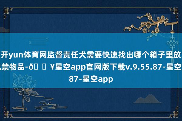 开yun体育网监督责任犬需要快速找出哪个箱子里放有犯禁物品-🔥星空app官网版下载v.9.55.87-星空app