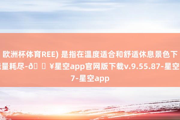 欧洲杯体育REE) 是指在温度适合和舒适休息景色下的能量耗尽-🔥星空app官网版下载v.9.55.87-星空app