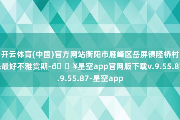 开云体育(中国)官方网站衡阳市雁峰区岳屏镇隆桥村水杉林迎来最好不雅赏期-🔥星空app官网版下载v.9.55.87-星空app