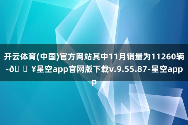 开云体育(中国)官方网站其中11月销量为11260辆-🔥星空app官网版下载v.9.55.87-星空app