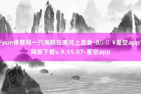 开yun体育网一只海鸥在海河上觅食-🔥星空app官网版下载v.9.55.87-星空app